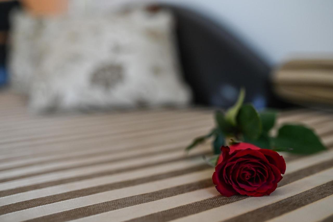 Garni Hotel Dash Novi Sad Buitenkant foto